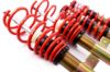 Picture of MTS Technik Coilover Set - MTSGWAL02