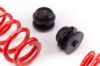 Picture of MTS Technik Coilover Set - MTSGWAU01