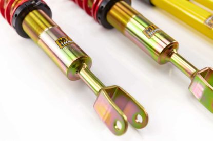 Picture of MTS Technik Coilover Set - MTSGWAU01