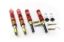 Picture of MTS Technik Coilover Set - MTSGWAU07