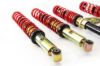 Picture of MTS Technik Coilover Set - MTSGWAU07