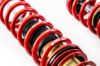 Picture of MTS Technik Coilover Set - MTSGWAU07