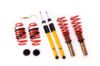 Picture of MTS Technik Coilover Set - MTSGWAU20