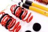 Picture of MTS Technik Coilover Set - MTSGWAU20