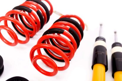 Picture of MTS Technik Coilover Set - MTSGWAU20