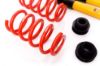 Picture of MTS Technik Coilover Set - MTSGWAU22