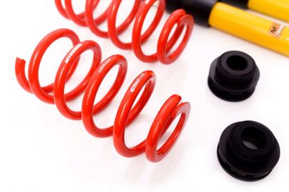 Picture of MTS Technik Coilover Set - MTSGWAU22