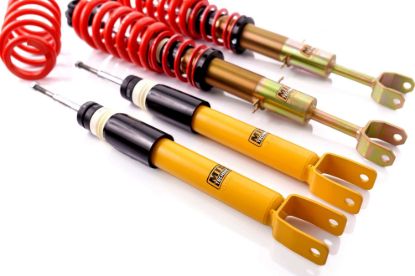Picture of MTS Technik Coilover Set - MTSGWAU22-S
