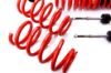 Picture of MTS Technik Coilover Set - MTSGWAU22-S