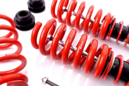 Picture of MTS Technik Coilover Set - MTSGWAU22-S