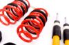 Picture of MTS Technik Coilover Set - MTSGWAU24