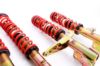 Picture of MTS Technik Coilover Set - MTSGWAU30