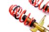 Picture of MTS Technik Coilover Set - MTSGWAU30-C