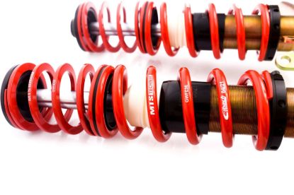 Picture of MTS Technik Coilover Set - MTSGWAU30-S