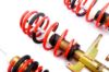 Picture of MTS Technik Coilover Set - MTSGWAU34-C