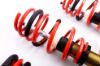 Picture of MTS Technik Coilover Set - MTSGWAU36-C
