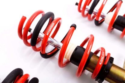 Picture of MTS Technik Coilover Set - MTSGWAU36-C