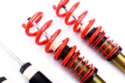 Picture of MTS Technik Coilover Set - MTSGWAU39
