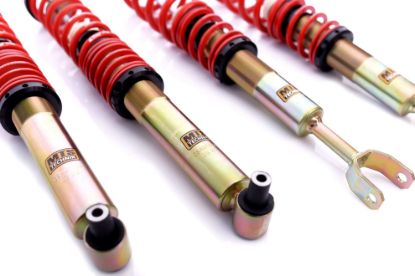 Picture of MTS Technik Coilover Set - MTSGWAU52-C
