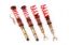 Picture of MTS Technik Coilover Set - MTSGWAU53