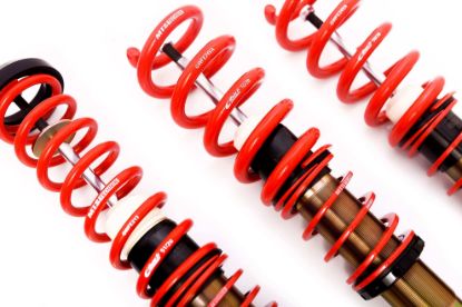 Picture of MTS Technik Coilover Set - MTSGWAU53