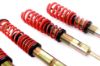 Picture of MTS Technik Coilover Set - MTSGWAU53-S