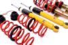 Picture of MTS Technik Coilover Set - MTSGWAU54