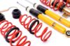 Picture of MTS Technik Coilover Set - MTSGWAU54-C