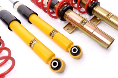Picture of MTS Technik Coilover Set - MTSGWAU54-C