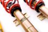 Picture of MTS Technik Coilover Set - MTSGWAU54-S