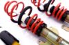 Picture of MTS Technik Coilover Set - MTSGWAU68