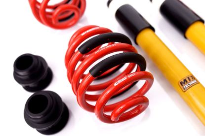 Picture of MTS Technik Coilover Set - MTSGWBM01