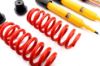 Picture of MTS Technik Coilover Set - MTSGWBM12