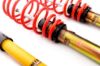 Picture of MTS Technik Coilover Set - MTSGWBM12-C