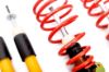 Picture of MTS Technik Coilover Set - MTSGWBM13-C