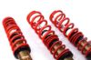 Picture of MTS Technik Coilover Set - MTSGWBM18