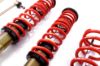 Picture of MTS Technik Coilover Set - MTSGWBM21