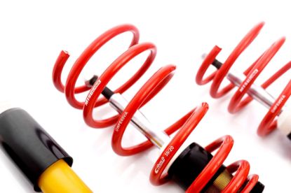 Picture of MTS Technik Coilover Set - MTSGWBM46-C