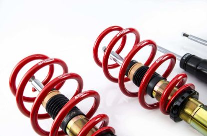 Picture of MTS Technik Coilover Set - MTSGWCU02