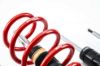 Picture of MTS Technik Coilover Set - MTSGWCU03