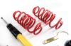 Picture of MTS Technik Coilover Set - MTSGWCU04