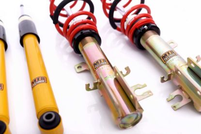 Picture of MTS Technik Coilover Set - MTSGWFI01