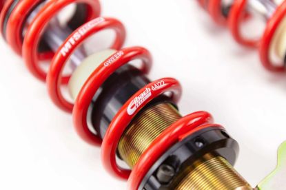 Picture of MTS Technik Coilover Set - MTSGWFI07