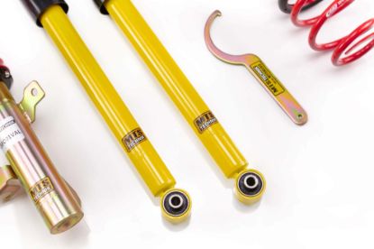 Picture of MTS Technik Coilover Set - MTSGWFO01