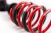 Picture of MTS Technik Coilover Set - MTSGWFO01