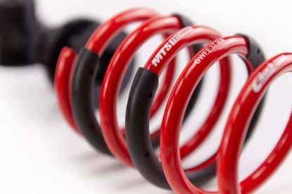 Picture of MTS Technik Coilover Set - MTSGWFO01