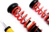 Picture of MTS Technik Coilover Set - MTSGWFO08