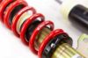 Picture of MTS Technik Coilover Set - MTSGWFO18