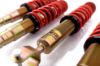 Picture of MTS Technik Coilover Set - MTSGWHO01