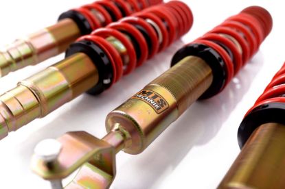 Picture of MTS Technik Coilover Set - MTSGWHO01